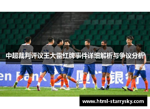 中超裁判评议王大雷红牌事件详细解析与争议分析